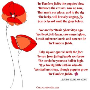 remembrance day and Canadian diversity