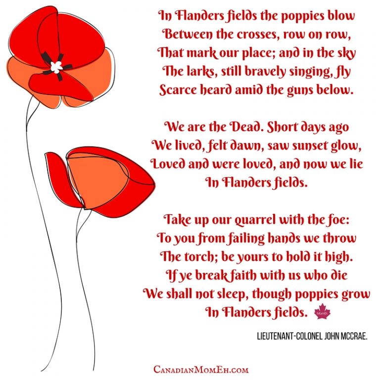 Remembrance day and Canadian diversity